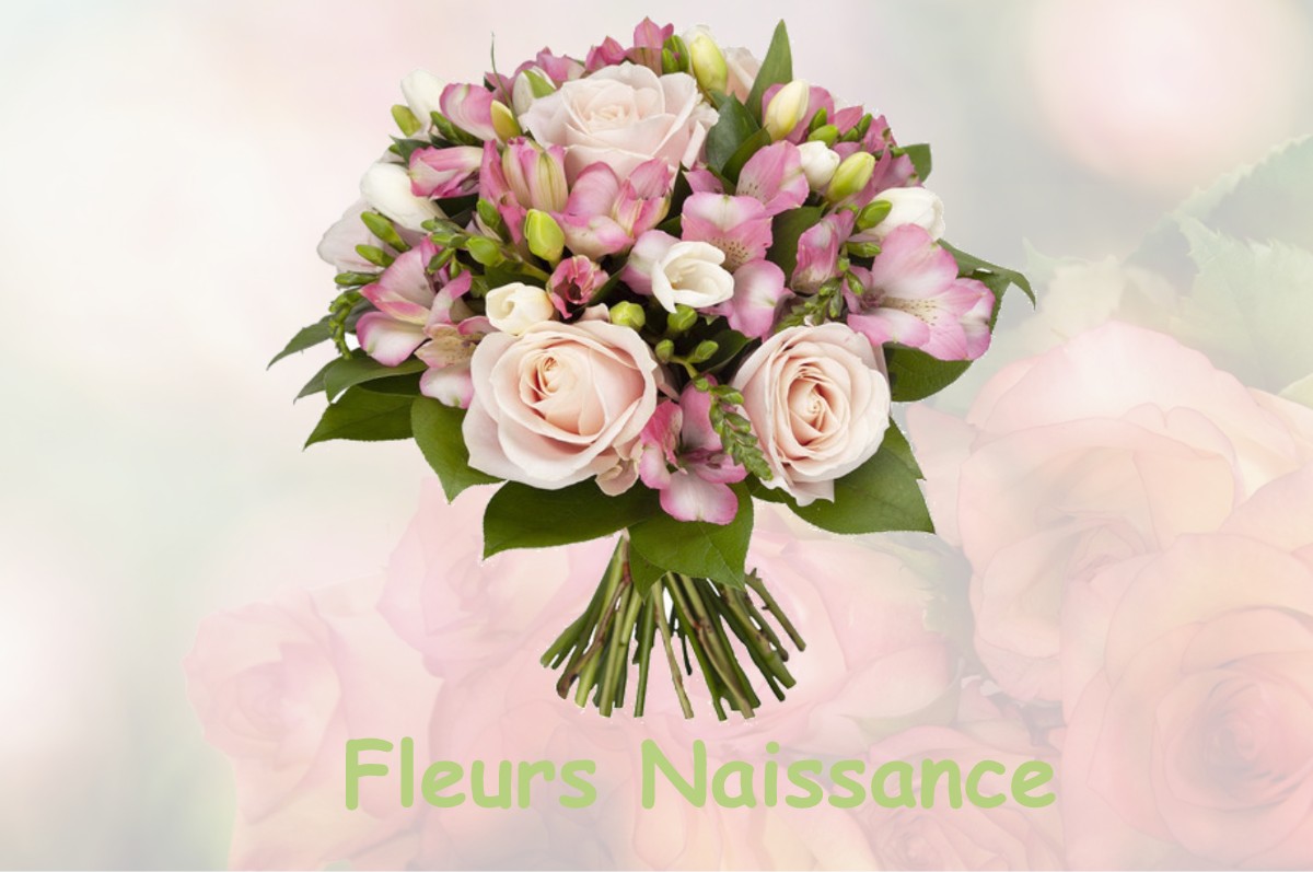 fleurs naissance CHALAUTRE-LA-GRANDE