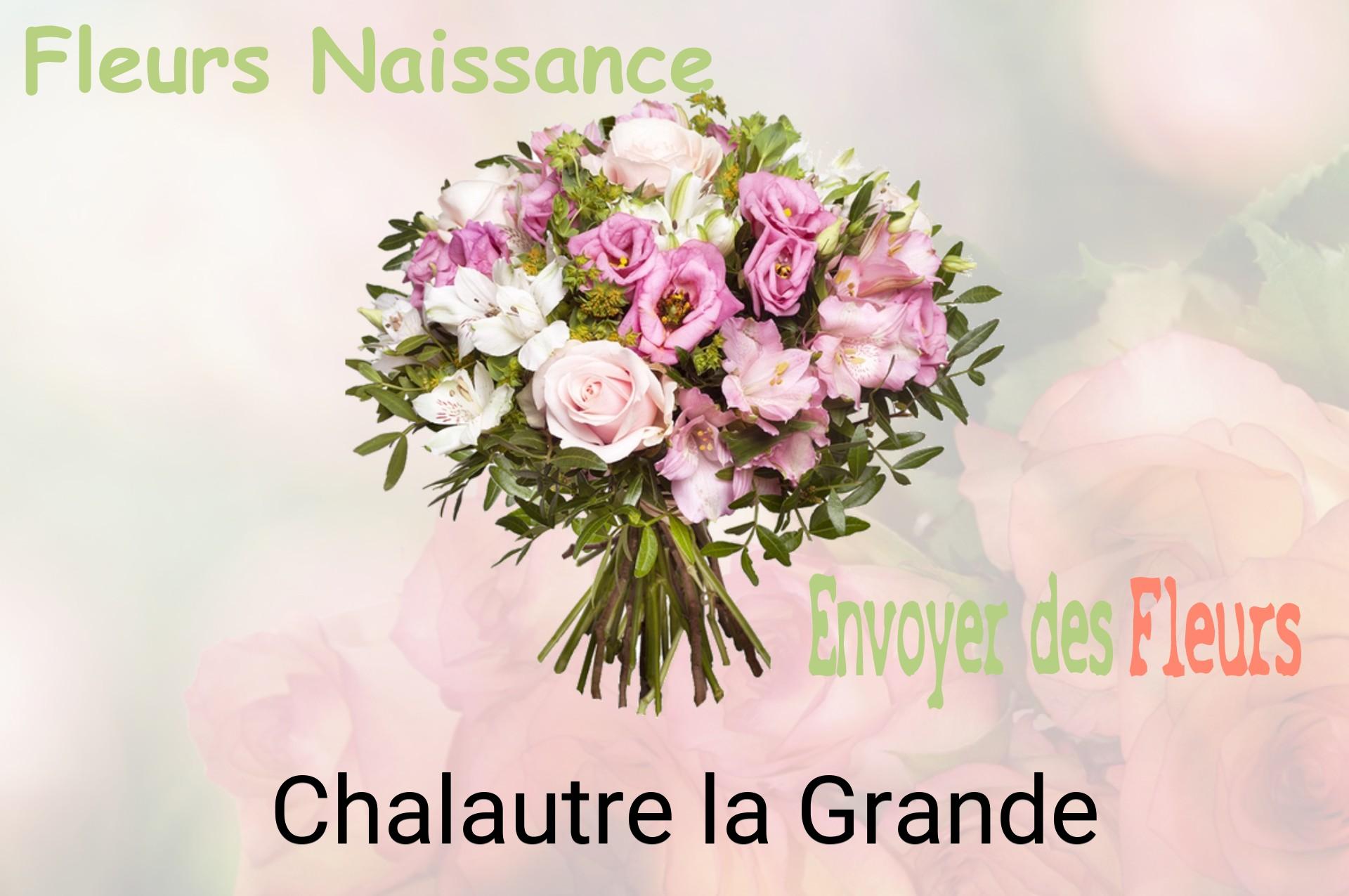 Bouquet de fleurs de naissance livré à Chalautre-la-Grande